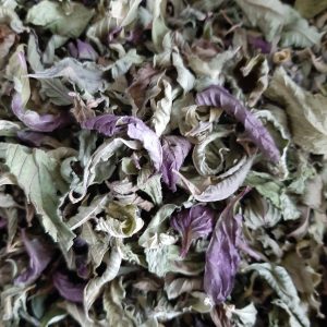 Verveine 3 Menthes