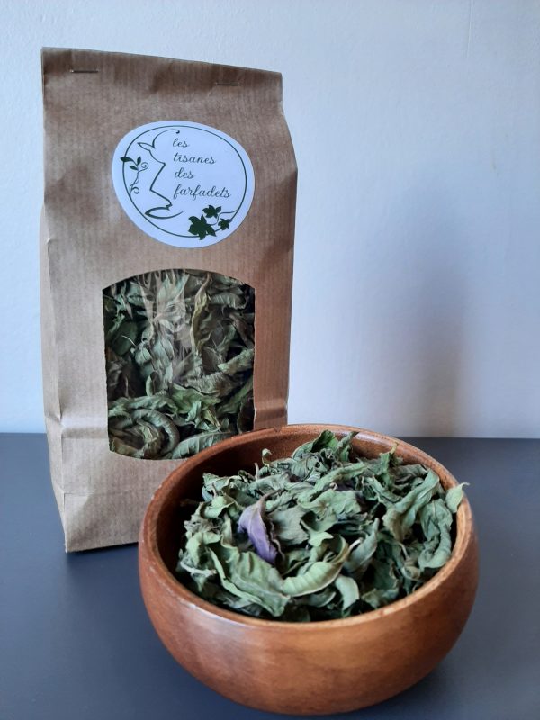 Verveine 3 Menthes – Image 3