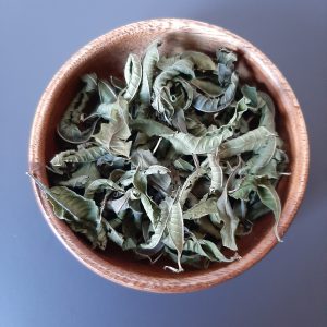 Verveine citronnée