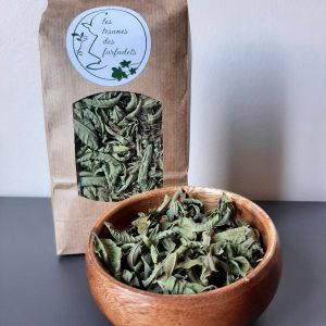 Verveine citronnée