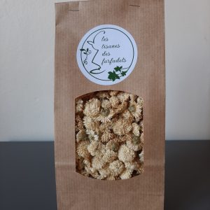 Camomille romaine