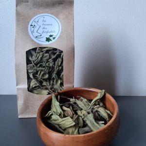 Plantain lancéolé